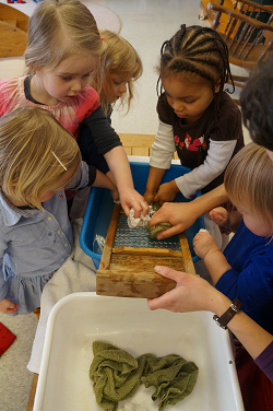 Robins washing Robins washing